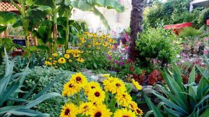 Пансионат Головинка