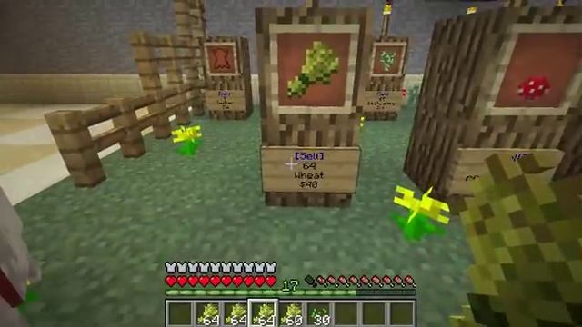 How To Make Money on TownCraft Minecraft Server смотреть онлайн