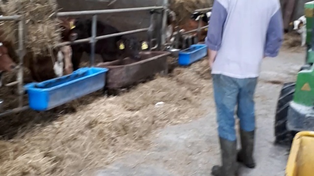 Европейская ферма КРС. Продажа по всей России и СНГ смотреть онлайн