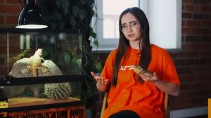 5 ПРИЧИН НЕ ЗАВОДИТЬ БОРОДАТУЮ АГАМУ | ЧЕМ ОНА ПЛОХА?