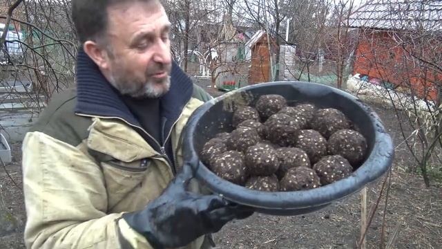 Кемеровский способ посадки семян Дягиля и Мордовника смотреть онлайн