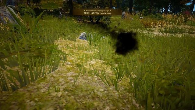 Cтрим (Black Desert) два веселых друга смотреть онлайн