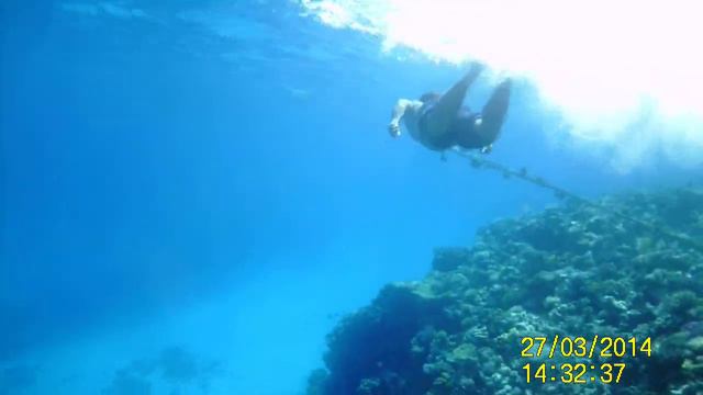 SUNP0087 смотреть онлайн