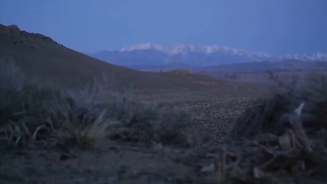 Аурелия Луиза Джоунс – Телос. Книга 2. Часть 2 смотреть онлайн