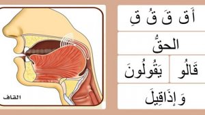 Буква ق. Махрадж. Айман Сувейд. Таджвид. Правильное произношение арабских букв.