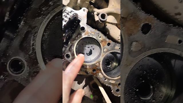 Приколы сто....Сто моментов юмора №19 #приколы #развлечения #смех #юмор #как#смешныевидео смотреть онлайн