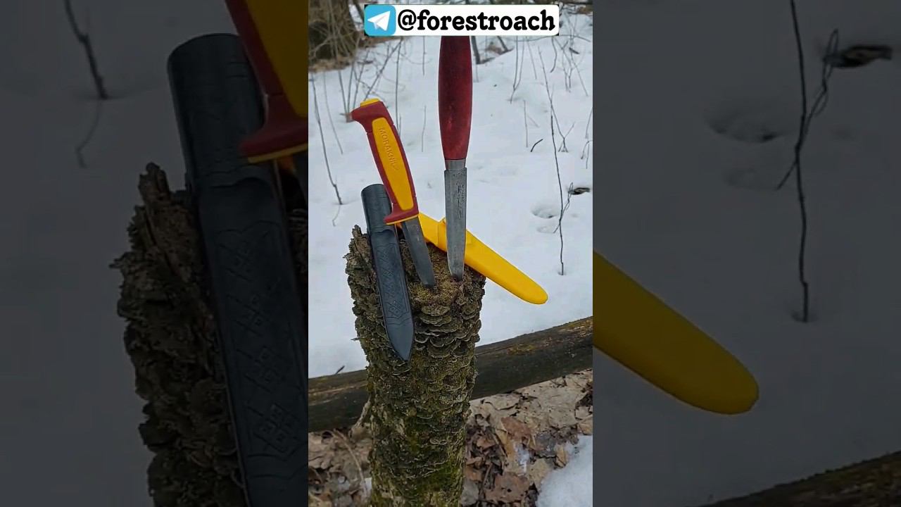 НОЖИ ИЗ 1891 ГОДА? #выживание #бушкрафт #bushcraft #knife #survival #нож #самоделки #ковка #forest смотреть онлайн