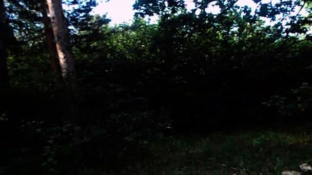 САМВЕЛ АДАМЯН СТРАННЫЕ ПЯТНА В КВАРТИРЕ МАТЕРИ