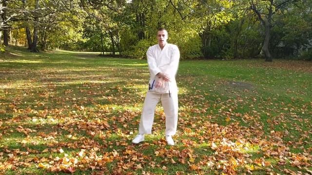 Heian Sandan. Samurai karate club. Vitalii Revtiuk. смотреть онлайн