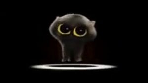 чёрный кот поет песню ,,скиди ви Ва па па"