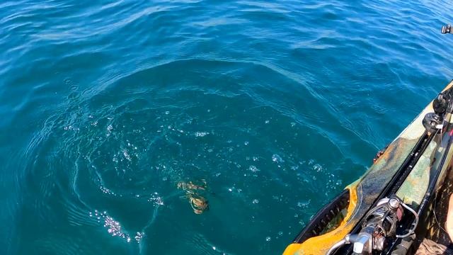 Which FISH is the BEST!?! Kayak Fishing in the bay смотреть онлайн