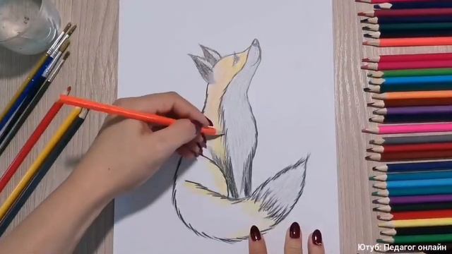 Как нарисовать лису. Рисунок цветными карандашами. How to draw a fox смотреть онлайн