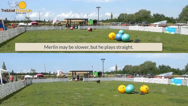 Exciting head-to-head race - Merlin & Malouk - Treibball competition in Prague on June 10, 2018 смотреть онлайн