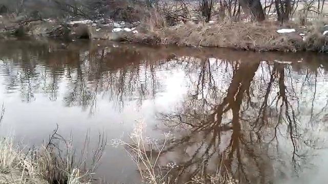 Правильной дорогой идете, товарищи. смотреть онлайн