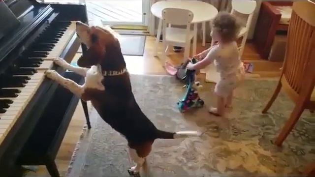 Это самая крутая #вечеринка , из тех что я видел. This is the coolest #party I've seen. Dies ist смотреть онлайн