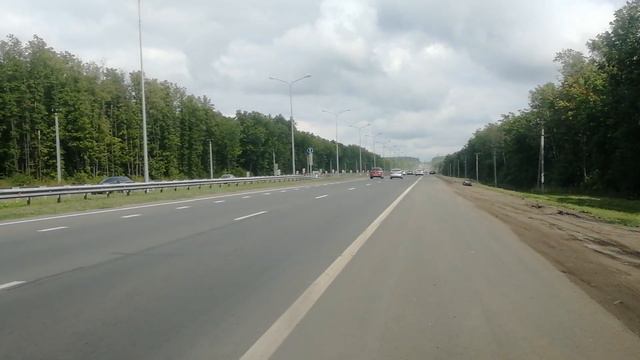 Пушкинские куры летят на юг.