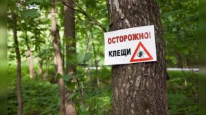 Осторожно, клещи
