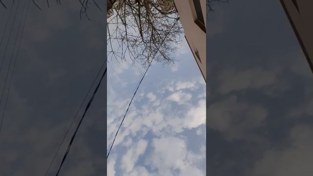 Я просто обожглась крапивой смотреть онлайн