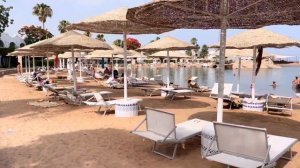 DOMINA CORAL BAY✨ЛУЧШИЙ ОТЕЛЬ В ШАРМ-эль-ШЕЙХЕ?ОБЗОР ОТЕЛЯ #шармэльшейх