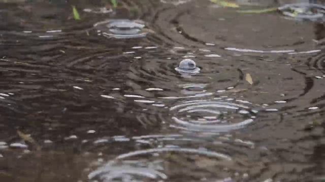 Безмятежность_Serenity