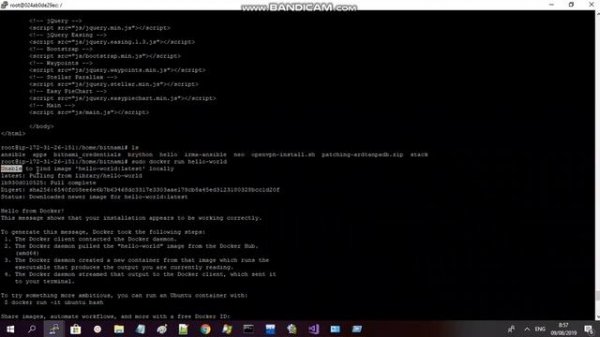 Install Docker on Debian