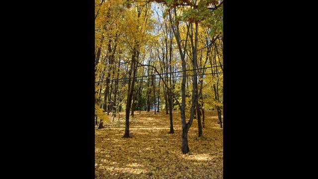 Химки Прогулка по городу часть 4