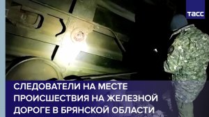 Следователи на месте происшествия на железной дороге в Брянской области