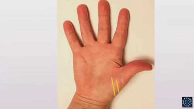 Линии на руке. И ДЕТИ – будут ли у вас и СКОЛЬКО? Хиромантия.