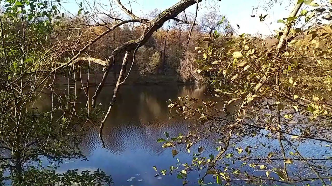 Осень 2021 смотреть онлайн