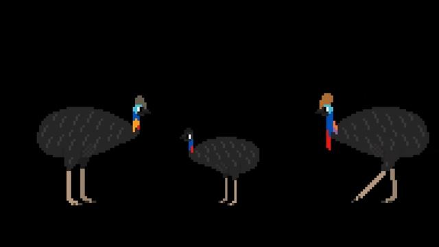 Ratites - The Kids' Picture Show