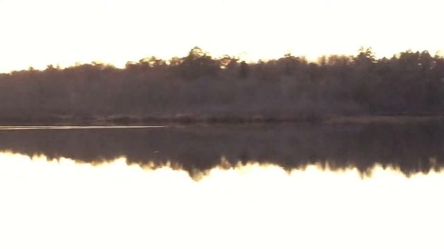 Loch Ness Monster of Sibley Lake in Pequot Lakes, MN смотреть онлайн