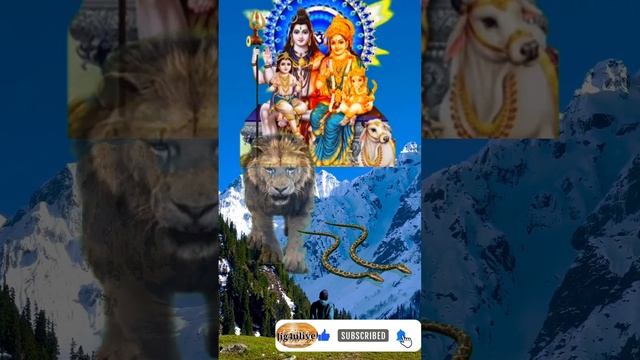 ☀️Bholenath ✔️Shankar Parvati ☀️|| #viral #shorts ☀️???☀️?✨️?? смотреть онлайн
