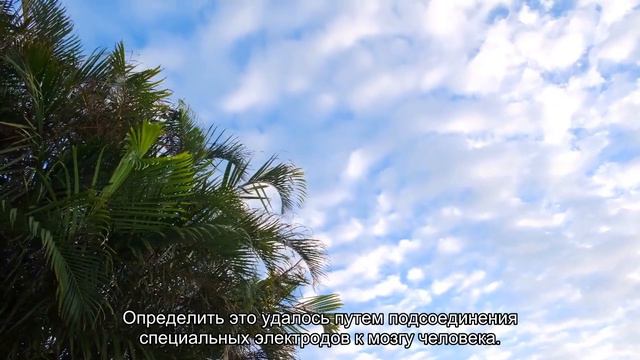 Человеческий мозг оказался способен путешествовать во времени смотреть онлайн