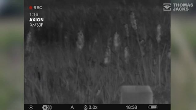 Comparing best thermal spotters for Bird Watching & Wildlife смотреть онлайн
