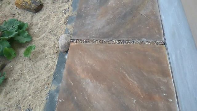 Отмостка дома часть 2