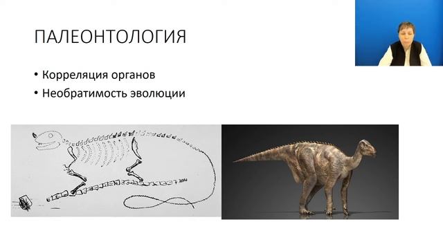 Зоология как система наук