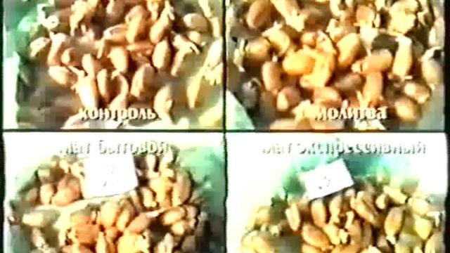 Сделай Это Сам