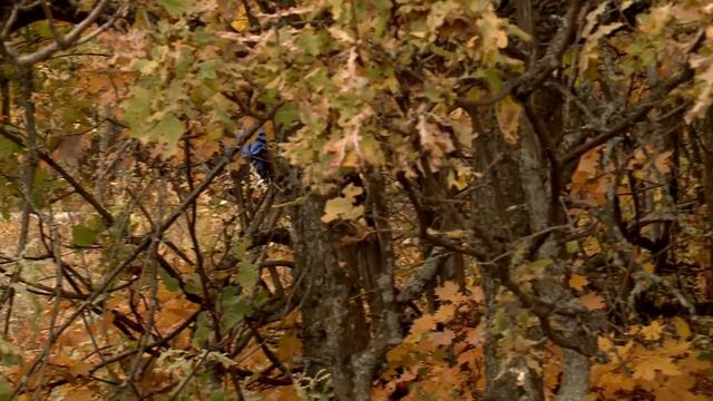 Николай Рундквист: путешествие по Оренбургской области смотреть онлайн