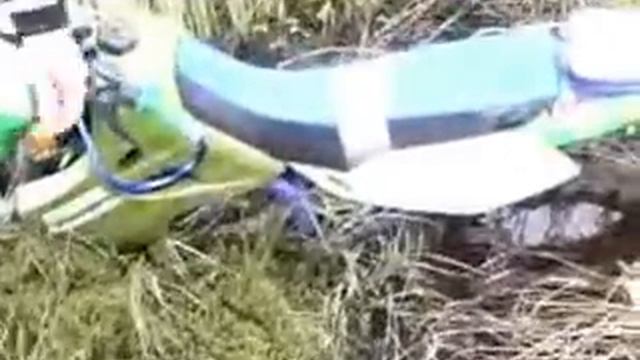 Купание зеленого коня смотреть онлайн