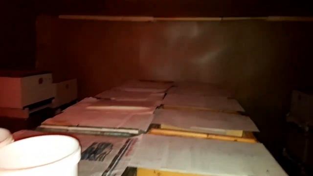 Итоги второго месяца зимовки.