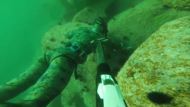 В гостях у терпуга#2 смотреть онлайн