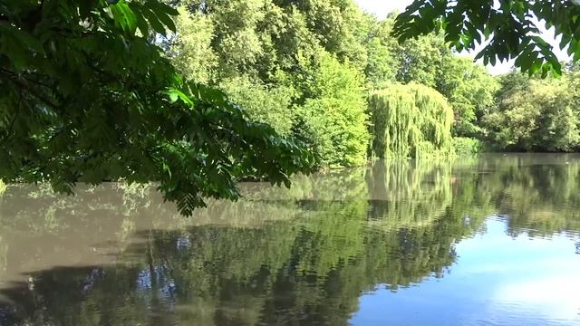 А почему моя рубашка грязная? В чем я завтра пойду на работу? Возьми и постирай. Я тебе не нянька! смотреть онлайн