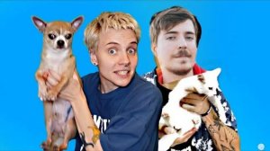 MrBeast и Оля кекс - песня про битбокс (ai cover)