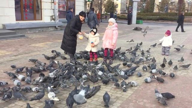Златка кормит голубей Много много голубей смотреть онлайн