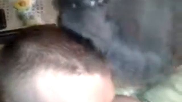 Кота расчесывают, а он вылизывает! Армия котиков смотреть онлайн