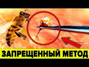 ЗАПРЕЩЁННЫЙ метод о котором молчат врачи. 5 неизвестных фактов о пчелах