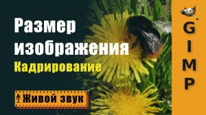 GIMP. Размер изображения (Кадрирование)