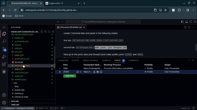 How to customize a Eaglercraft Server (Github) смотреть онлайн