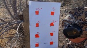 ATAMAN ME-16 Подбираем патрон 22LR на 50, 60, 70 и 80 метров