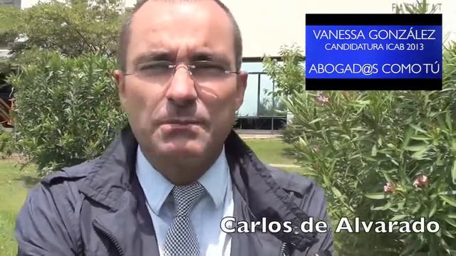 Carlos de Alvarado - Candidatura Vanessa Gonzalez ( Eleccions ICAB 2013 ) смотреть онлайн